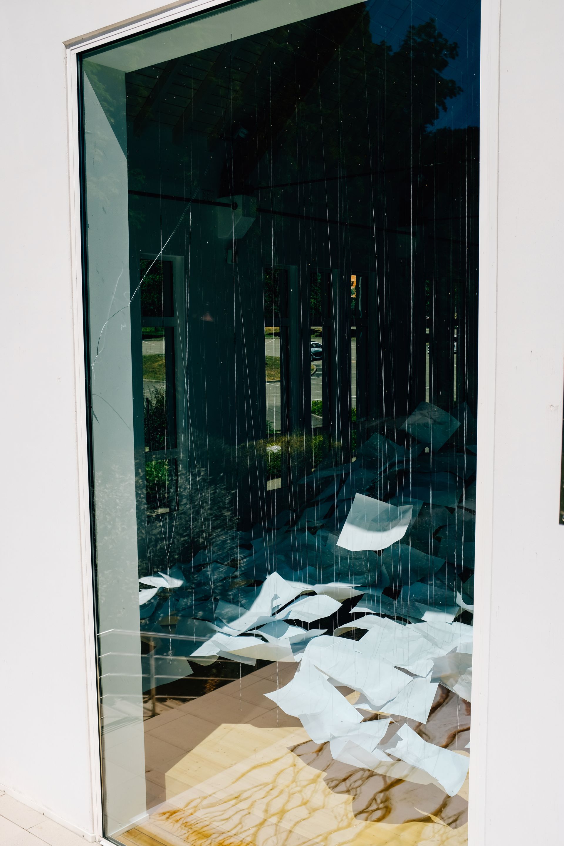 Tempered & Laminated Safety Glass